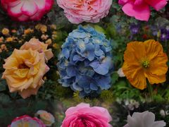 -人民公园(罗湖区)