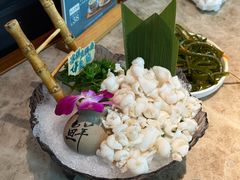 -淘米捞·米汤脆鲩鱼火锅(福田皇岗店)