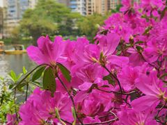 -晓港公园