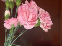 -旺顺阁·北京菜·烤鸭(魏公村店)