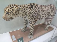 -国家自然博物馆