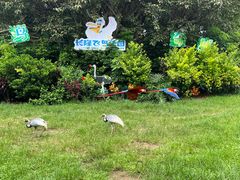 -广州长隆飞鸟乐园