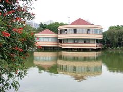 -金花茶公园