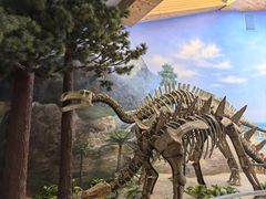 -延庆地质公园博物馆