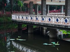 -荔湾湖公园