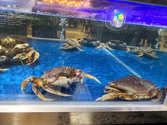 -盒马鲜生(枣园路店)