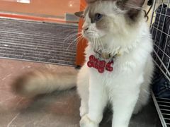 -乐刻健身(汇德隆购物中心店)