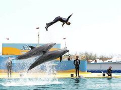 -秦皇岛乐岛海洋王国