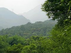 -阳台山自然风景区