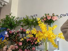 -Blue Concept Cafe&Farm·關於藍