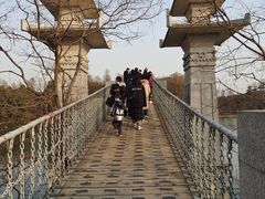 -东湖落雁景区