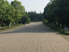 -上海海湾国家森林公园