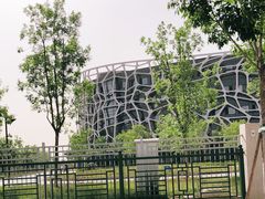 -首都医科大学附属北京天坛医院