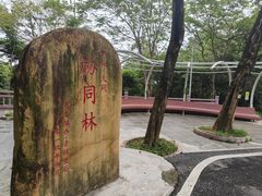 -火炉山森林公园