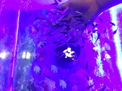 -金隅凤山酒店