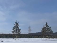 -塞罕坝国家级自然保护区