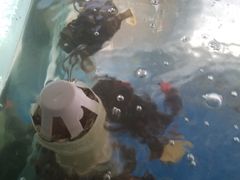 -雅逸居海鲜小厨