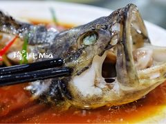 清蒸石斑鱼-四川小胡子海鲜(丁村万人海鲜广场店)