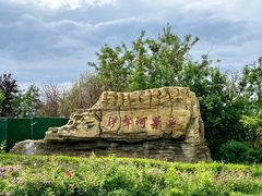 -伊犁河风景区