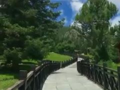 -空中草原