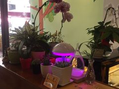 -猫山王创意蛋糕店(东城万达店)