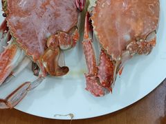 -望海潮海鲜店 特色家常菜(在海一方店)