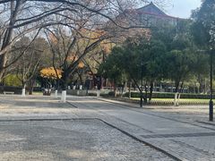 -山东大学(趵突泉校区)