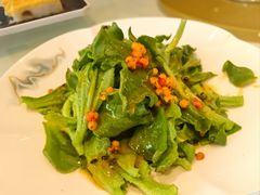 -凯鸽酒楼(大同振兴街店)