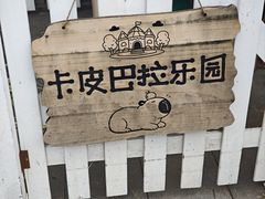 -苏州阳澄半岛英迪格酒店