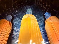 -白水寺森林公园