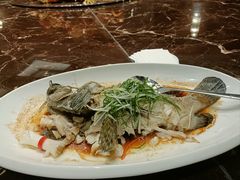 -东方御宴海鲜酒楼(棕泉酒店)