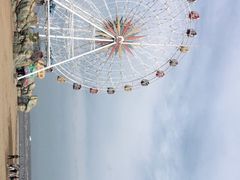 -奉贤海滩
