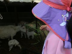 -宾湖农庄·农场特色(太湖龙之梦店)