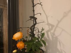 -乐领拈花溪·林涧食韵