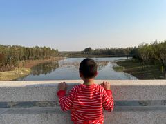 -东郊湿地公园