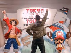 -东京塔海贼王主题公园
