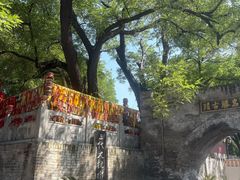 -大槐树寻根祭祖园