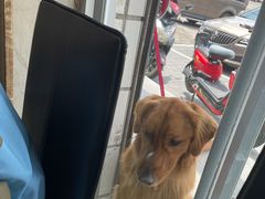 -呼市烧麦羊杂(幸福路店)