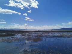 -野鸭湖国家湿地公园