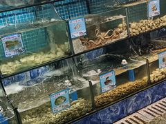 -范饭椰林川湘味海鲜·椰子鸡(三亚湾椰梦长廊店)