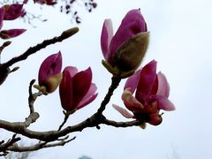 -白塘生态植物园