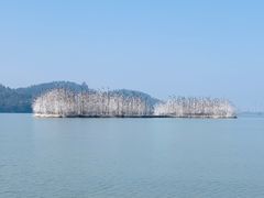 -东湖落雁景区