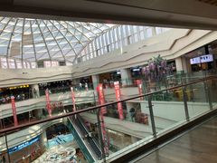 -高新活力汇Vitality