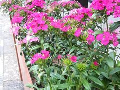 -回龙窝历史文化街区