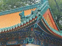 -颐和园