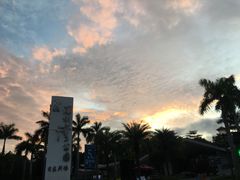 -深圳湾公园(南山区)