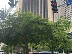 -深圳香格里拉酒店