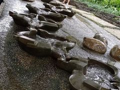 -成都市活水公园
