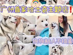 -星多哈·狗咖·拼豆·咖啡