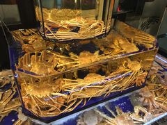 -蟹道乐(道顿堀本店)